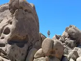 Joshua Tree